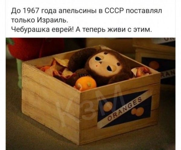 До 1967 года апельсины в СССР поставлял только Израиль Чебурашка еврей А теперь живи зшм