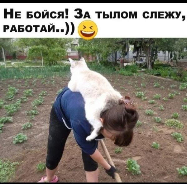 НЕ Бойся ЗА тылом слежу РАБОТАЙ