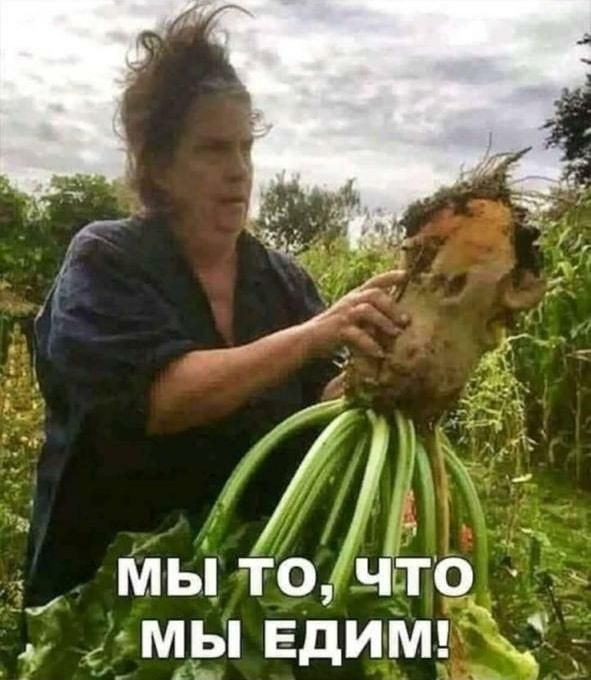 мы точто 7 мы едим 2