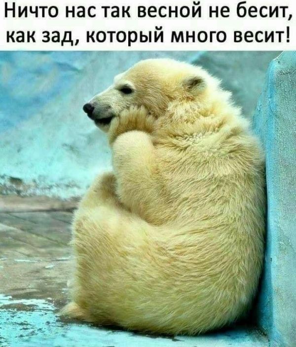 Ничто нас так весной не бесит, как зад, который много весит!