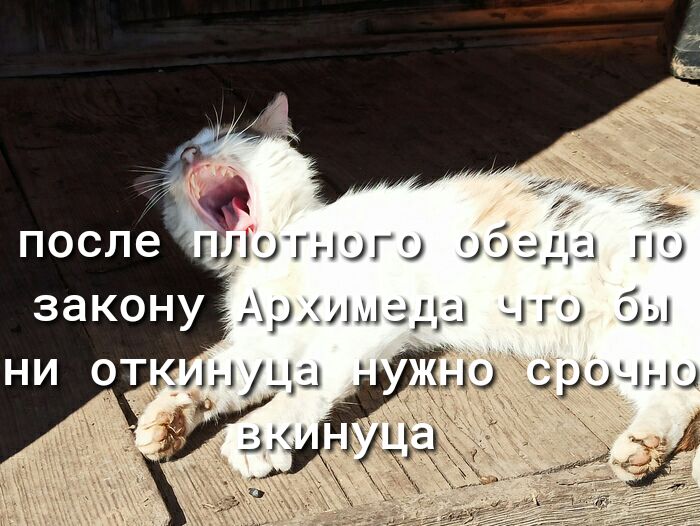ішотного ЁЁ по что бы ооэда