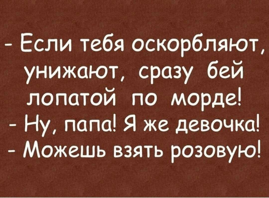 Если тебя оскорбляют унижают сразу бей лопатой по морде Ну папа Я же девочка Можешь взять розовую