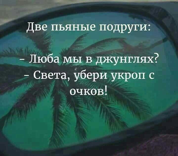 В кафе города Конаково подрались две пьяные женщины: дебоширок разнимала полиция