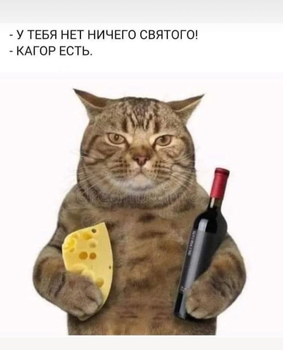 У ТЕБЯ НЕТ НИЧЕГО СВЯТОГО КАГОР ЕСТЬ
