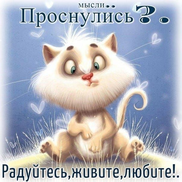 Проснулйсь