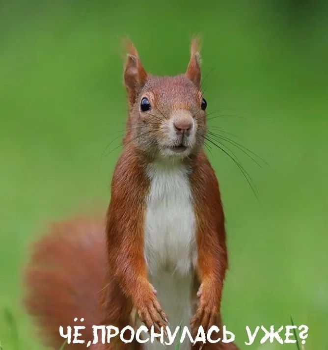 і А чгпроМсь УЖЕ