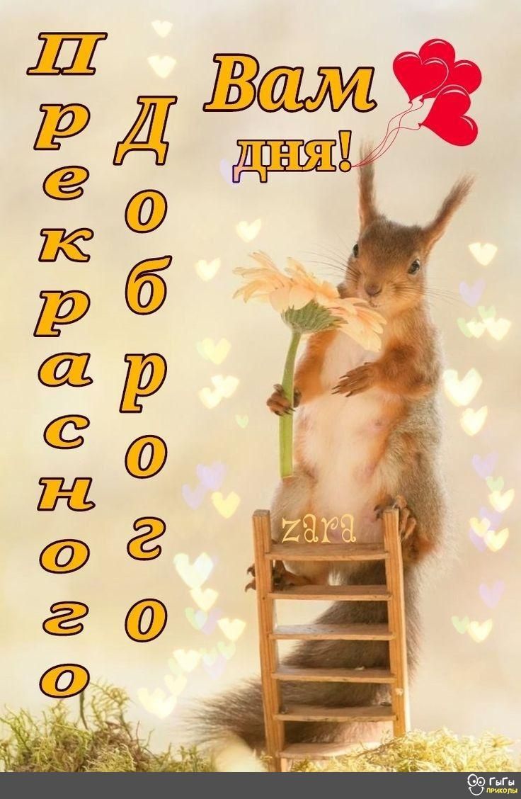 Шркршёч