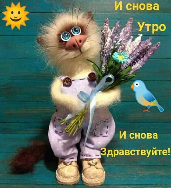 Дравствуйте!