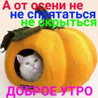 Ь нес таться е ться