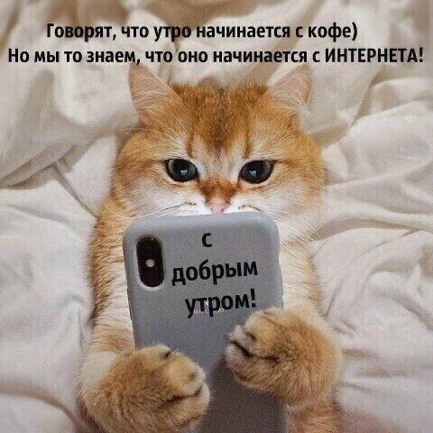 машу ачинаетсяскофе Но мы то знаем чтооно начинается ИНТЕРНЕТА
