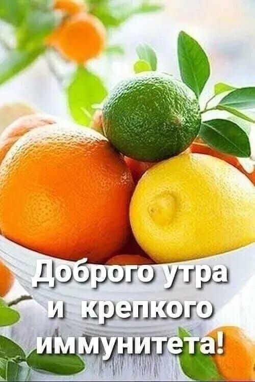 Нрбротовтря  ипкрепкого