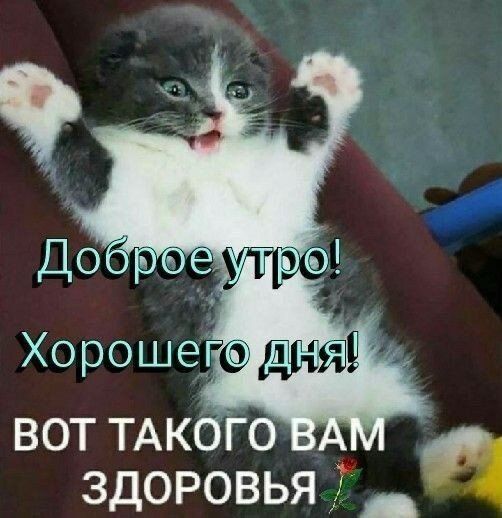 вот ТАКОГО _ здоровья 7