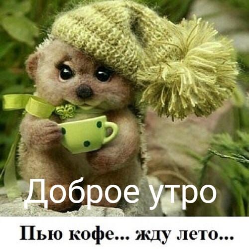 Пью кофе жду лето