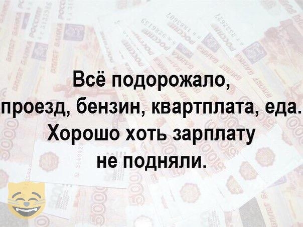 Всё подорожало проезд бензин квартплата еда Хорошо хоть зарплату не подняли