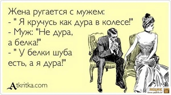 Жена ругается с мужем Я кручусь как Аура в КОАесе Муж Не Аура а быка У беАки шуба есть а я дура АЖгііКасот