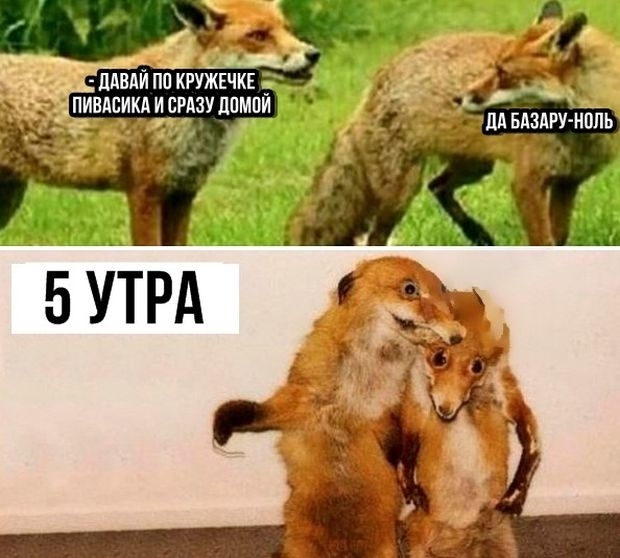 к тишипужвчкв5 __ ___ 7 пивдсищредзулащи дздру_нопь