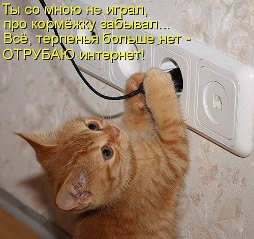Гы о про гц ОГРг Мною не играл ЭГГК кЭд забыгшп из ыыхбогькшэ игл гарна г нэт