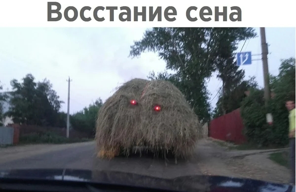 Восстание сена