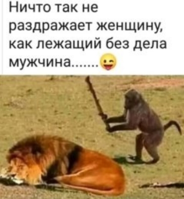 Ничто так не раздражает женщину как лежащий без дела мужчина