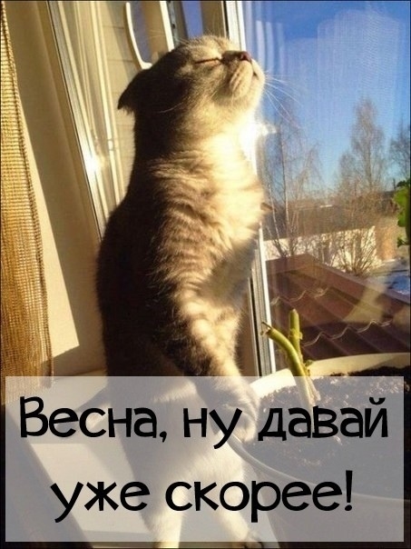 Весна ну давай уже скорее