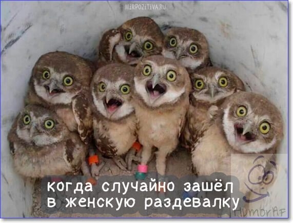 ми _ _ когдг случаино эаше