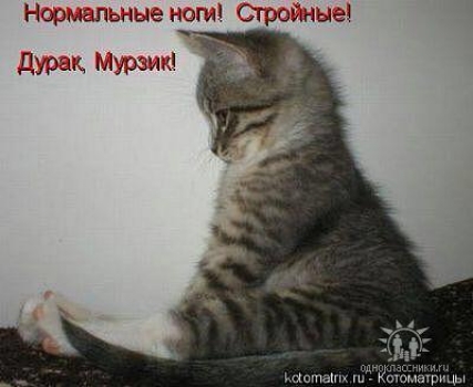 г10имыЛвг1Ы ЭНШИ Строэ ые Души турша Ашты НАА