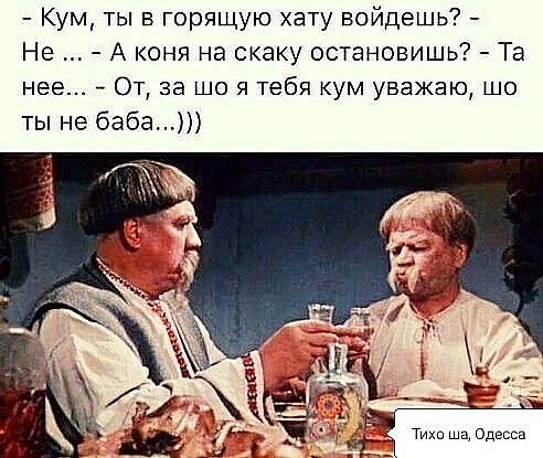Кум ты в горящую хату войдешь Не А коня на скаку остановишь Та нее От за що я тебя кум уважаю шо ты не баба