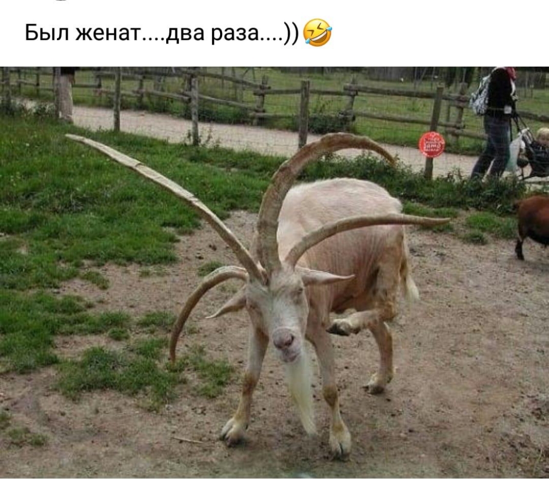 Был женатдва раза 33