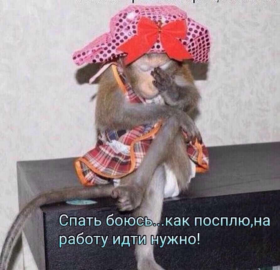 Спать боюськак посплюна работу идти нужно