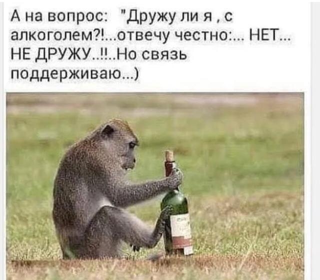 А на вопрос дружу ли я с алкоголемотвечу честно НЕГ НЕ дРУЖУНо связь поддерживаю