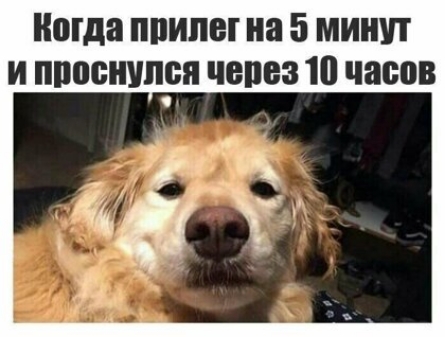 огда ПИЛЫ на 5 МИНУТ И ППВОНУПБП ЧЕПЕЗ 10 часов