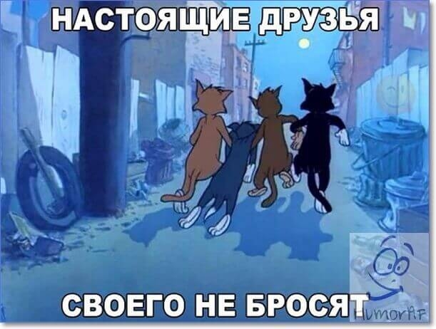 ндстрящие В69ЕГО