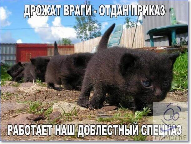 ФЩШТДАН