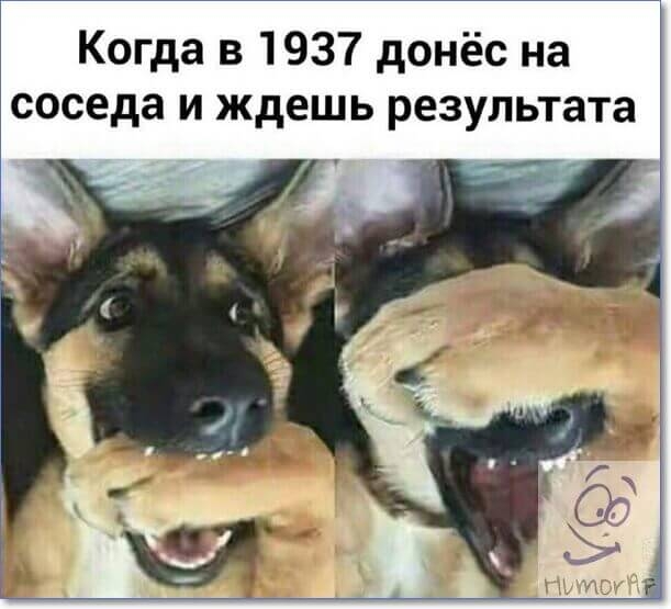 Когда в 1937 донёс на соседа и ждешь результата