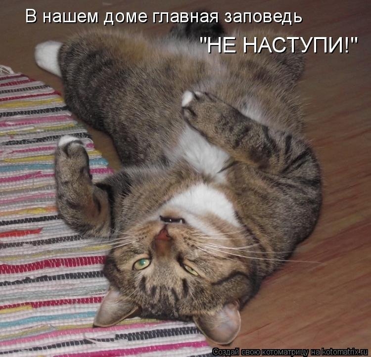 В НЭШЭМ доме ГЛЭВНЭЯ ЗЭПОВЭДЬ Ё НАСТУПИ э Ё _ ММ ф _ щ мы ин