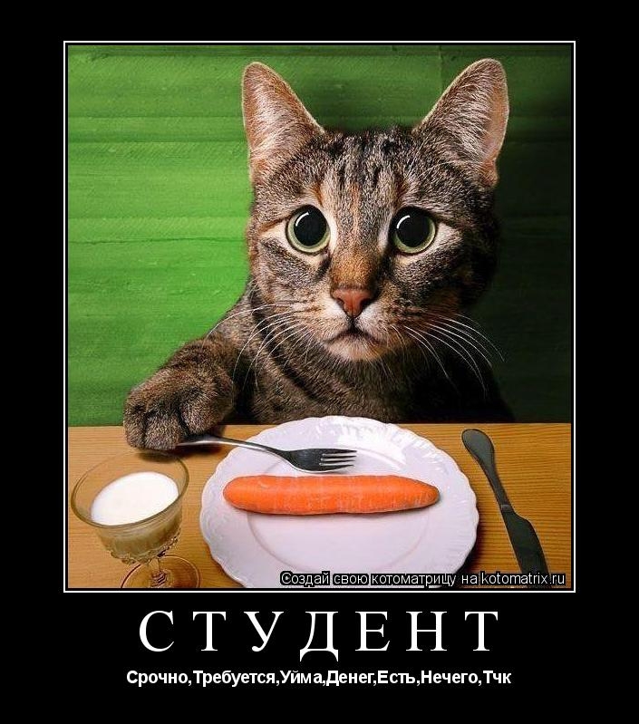 _ котоматрдцу на иоіоташх СТУДЕНТ СрочноТребуетсяУйм адрнепЕс гьМечегщТЧК