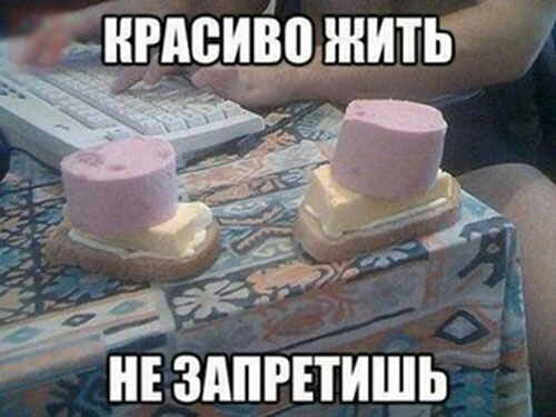 _ _ _ _ нюдпгітишь