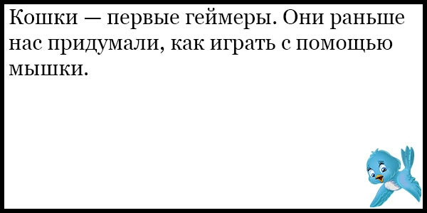 Кошки первые геймеры ОНИ раньше нас придумали как играть с ПОМОЩЬЮ мышки