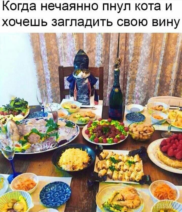 Когда НЭЧЭЯННО ПНУП кота И ХОЧЭШЬ ЗЭГПЭДИТЬ СВОЮ ВИНУ Ч