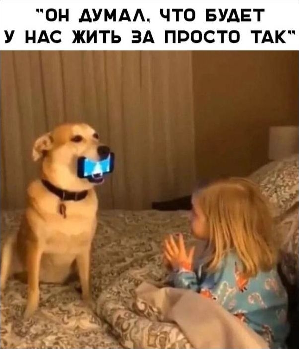 ОН ДУМА ЧТО БУДЕТ У НАС ЖИТЬ ЗА ПРОСТО ТАК