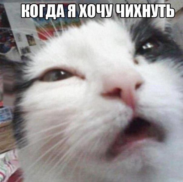 то я хочу