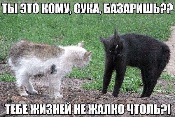 пшшпэшщщ