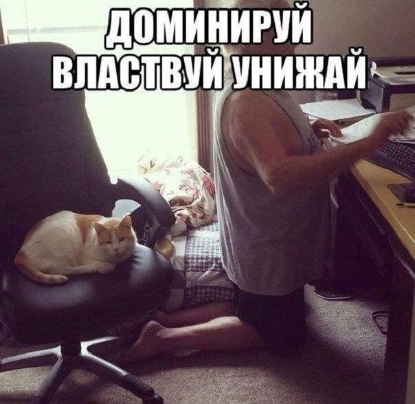 д0МИИИРУИ