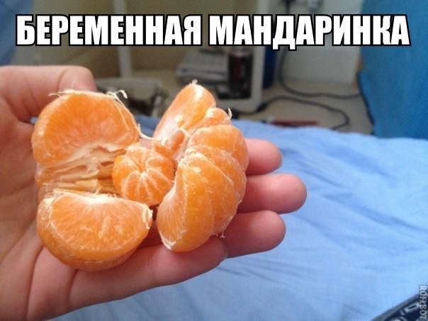 БЕРЕМЕНШШ мднддгиннд