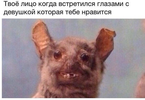 Твоё лицо когда встретился глазами с девушкой которая тебе нравится