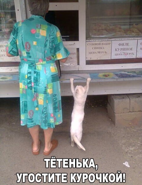 точном Ё УГФСТИ