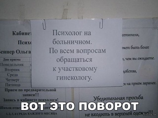 Психолог на больничном По всем вопросам обращаться к участковому гинекологу вотэто поворот ш
