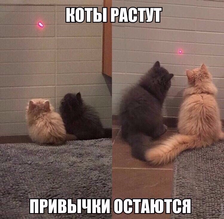 НПТЫ РМП ПРИВЫЧНИ ВВТАЮТВП