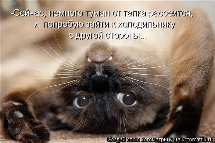 ЬЁЭЗИЧСГ г0Г0 ГУР ОГ ГГП 12 РЫССЭЛГСЯ И ГЮПРОБУЮ іГп ОЛОДИПЬНИСУ 9 друга15 гороны