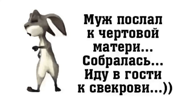 Муж послал к чертовой матери Собралась Иду в гости к свекрови